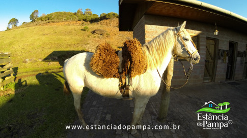 DOS EÓLICOS VIRA P FAZENDA_Moment.00_04_09_00.Quadro408_efa25707c1dc2cbfe4b012817ca288b9a468870a.jpg